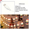20FT  40LED Acrylic Christmas Tree Light with Twinkling LED & Santa Figures