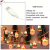 20FT  40LED Acrylic Christmas Tree Light with Twinkling LED & Santa Figures